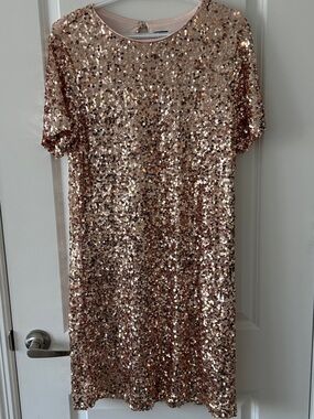 Reitmans Rose Gold Sequin Dress
